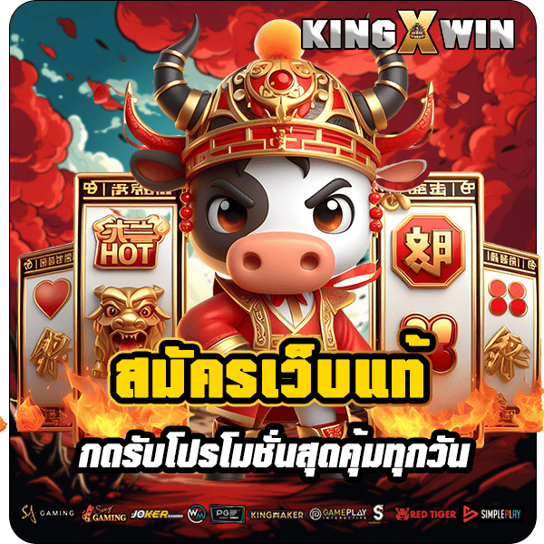 kingxwin รูปคั่น 1